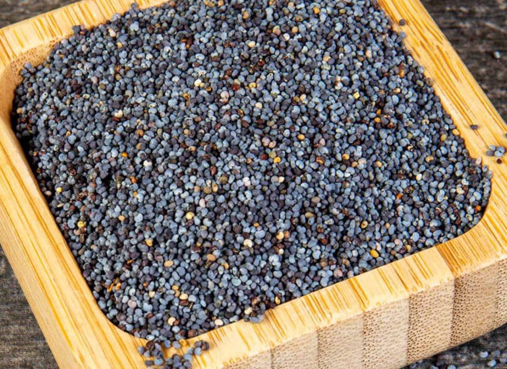 2910547114-blue poppy seeds 2